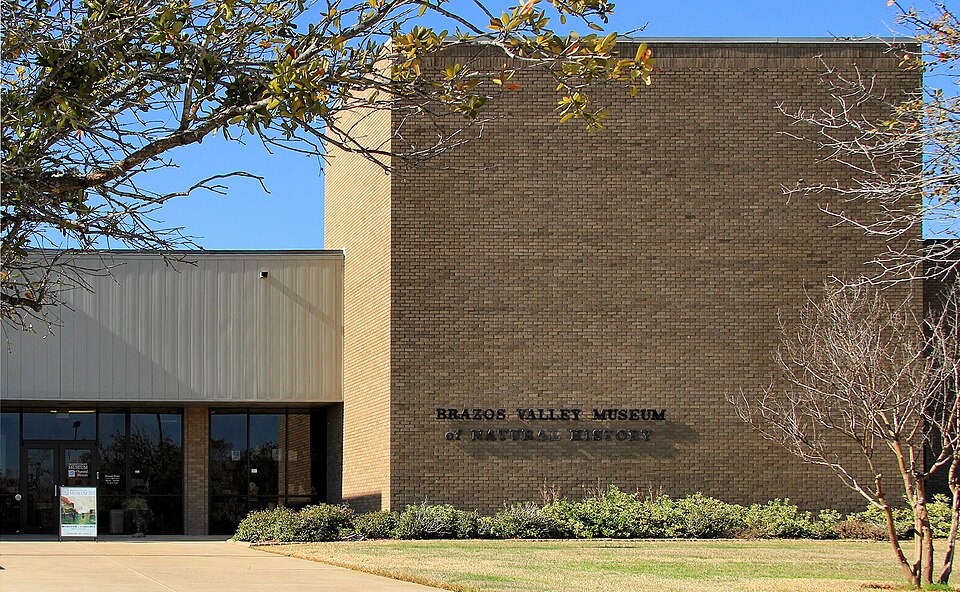 Brazos Valley Museum of Natural History, Bryan